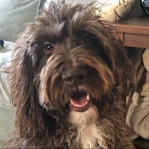 Meet your Posher, Jacob